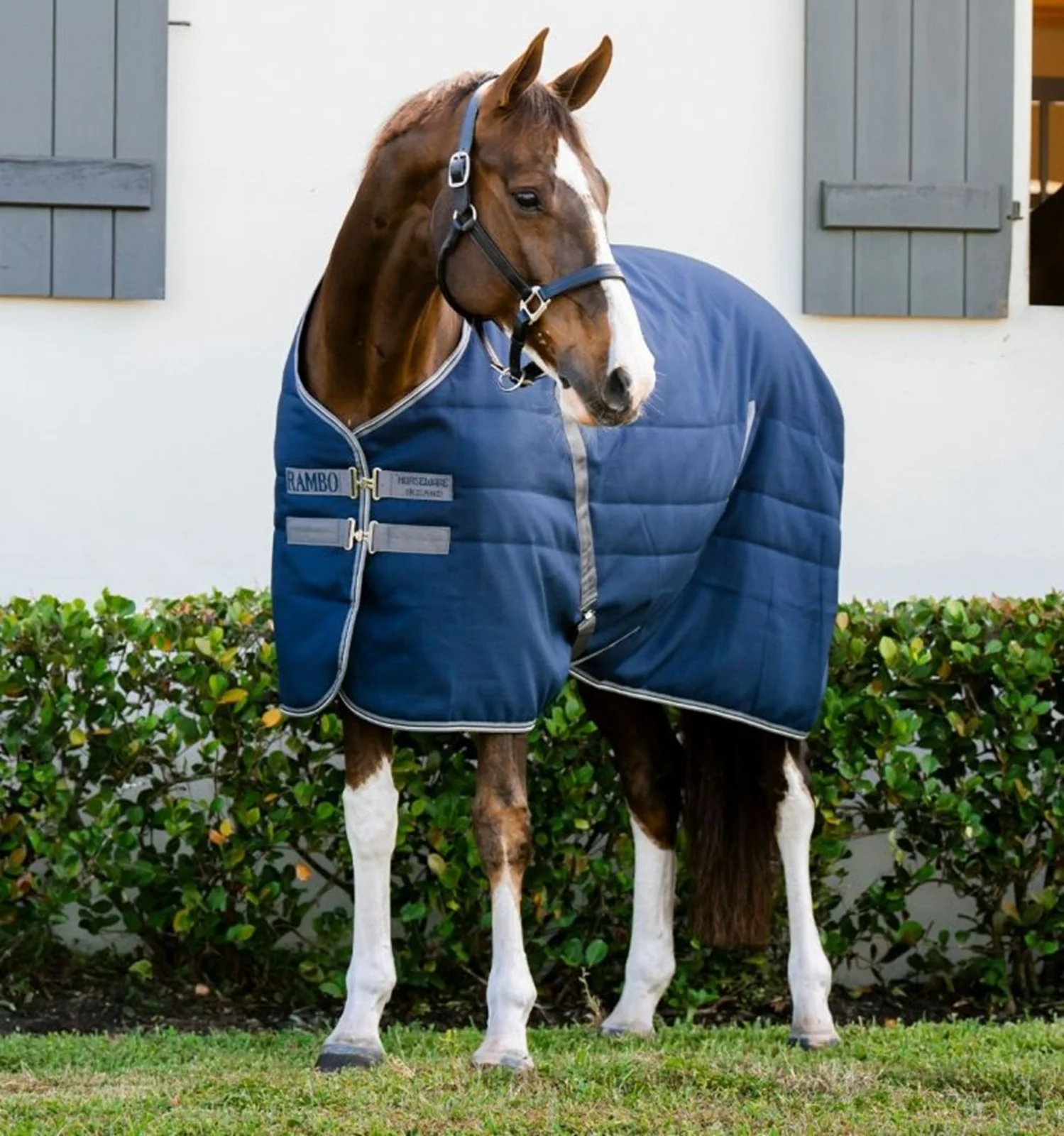 Rambo Stable 400g Embossed Lining - Image 2