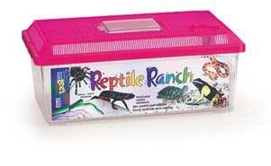 Lees Reptile Ranch - Image 2
