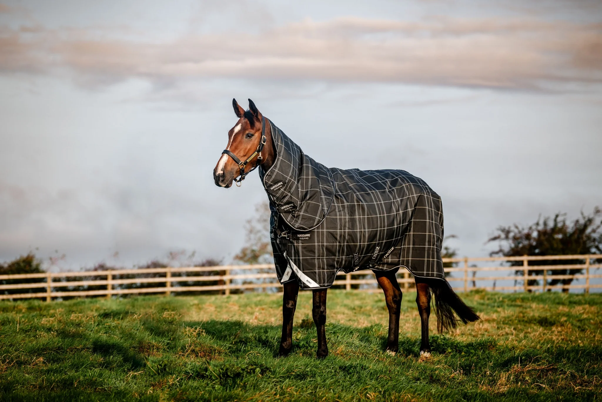 Rhino Plus Turnout Bundle - Image 2