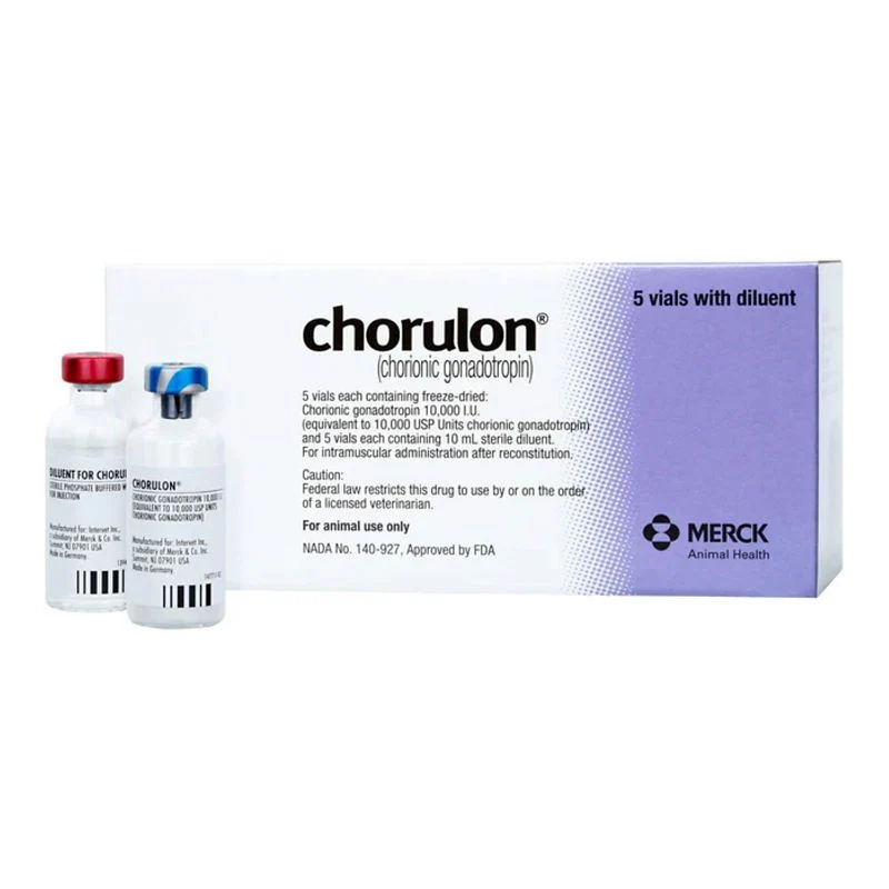 RX Chorulon for Cattle