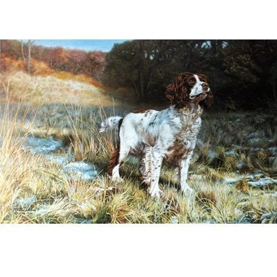 Sally Mitchell Fine Art The Springer Spaniel