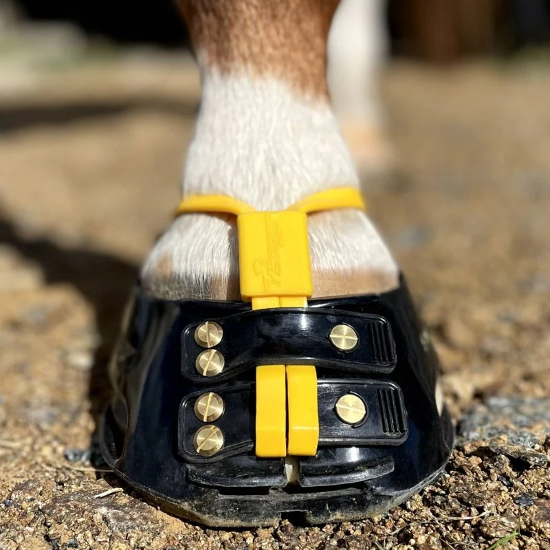 Scoot Boot Mud Strap Pack - Image 2