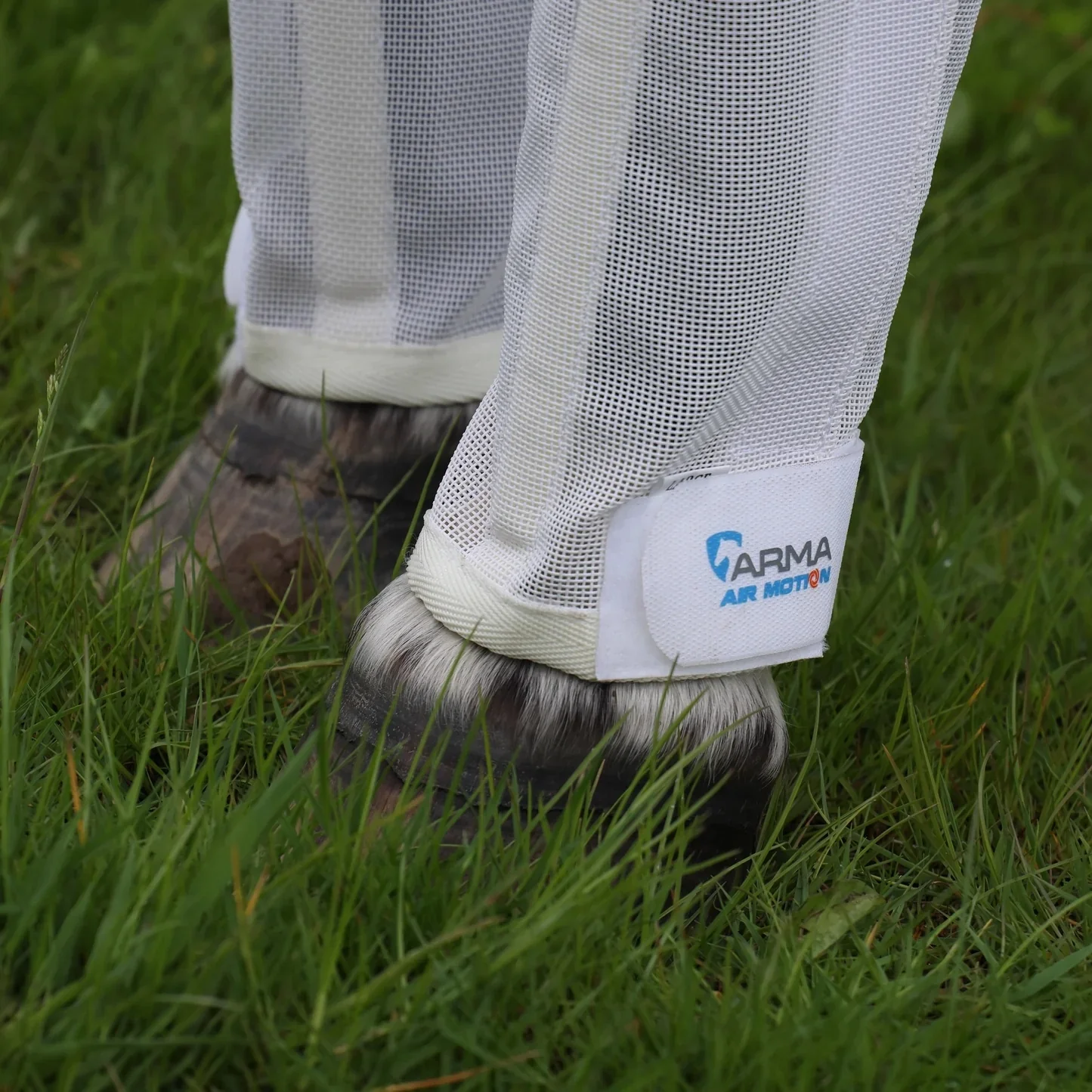 Shires Arma Mesh Fly Boots - Image 2