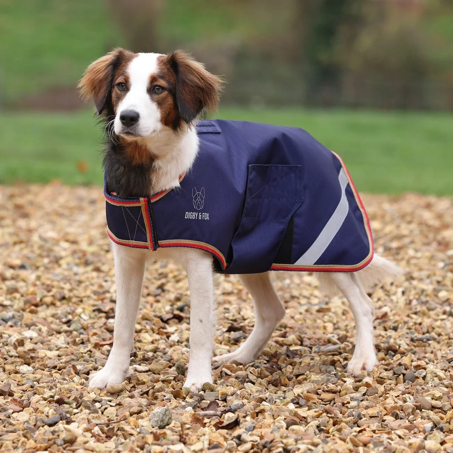 Shires Digby & Fox Lite Waterproof Dog Coat - Image 3