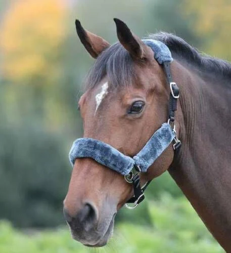 Shires Fleece Lined Headcollar - Image 3