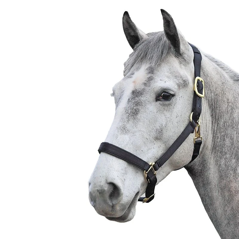 Shires Topaz Nylon Halter