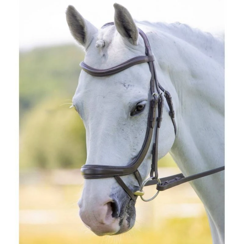 Velociti Ergonomic Curved Flash Bridle - Image 6