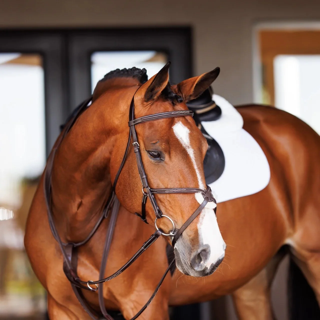 Shires Velociti Fancy Raised Rubber Reins - Image 2