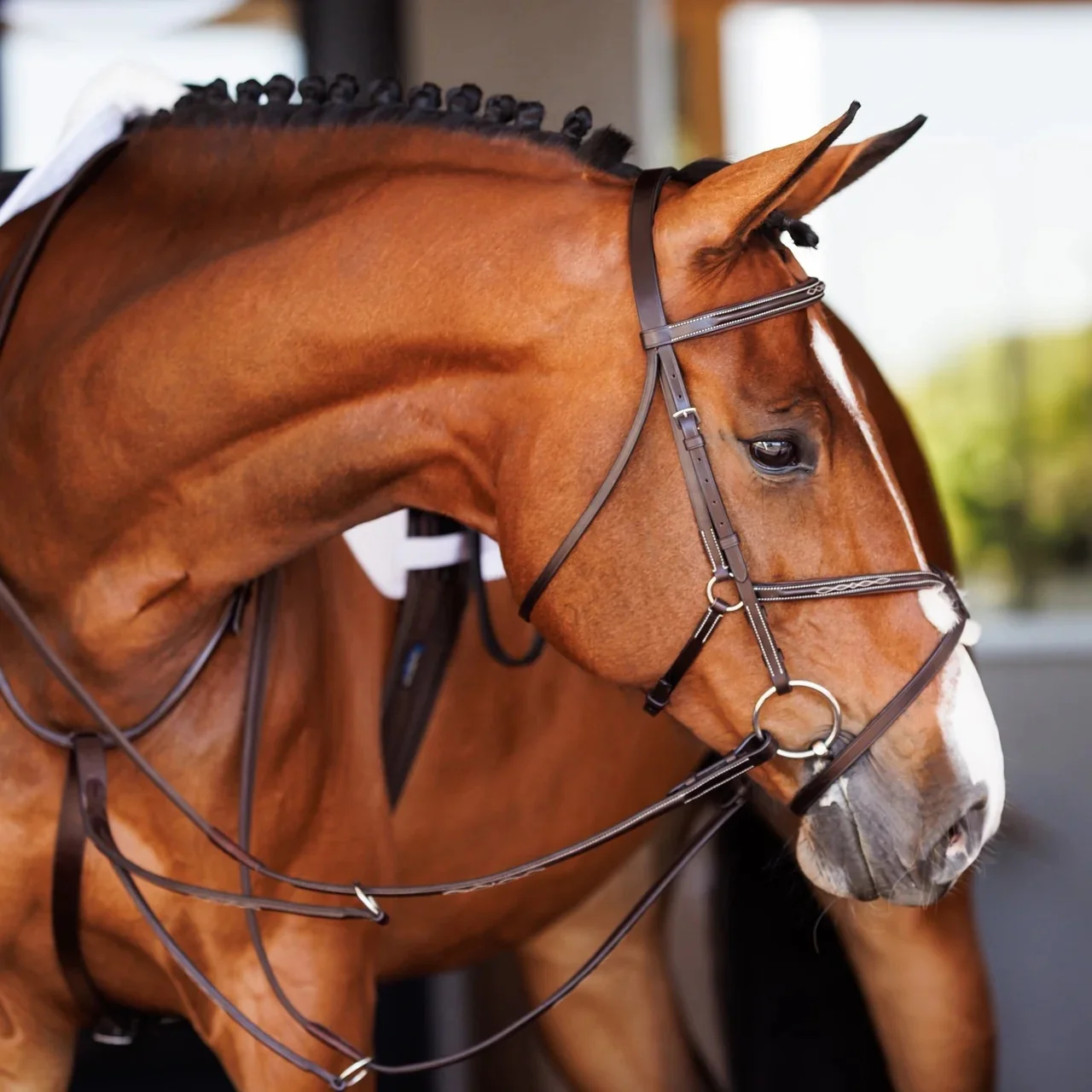 Shires Velociti Fancy Raised Rubber Reins - Image 3