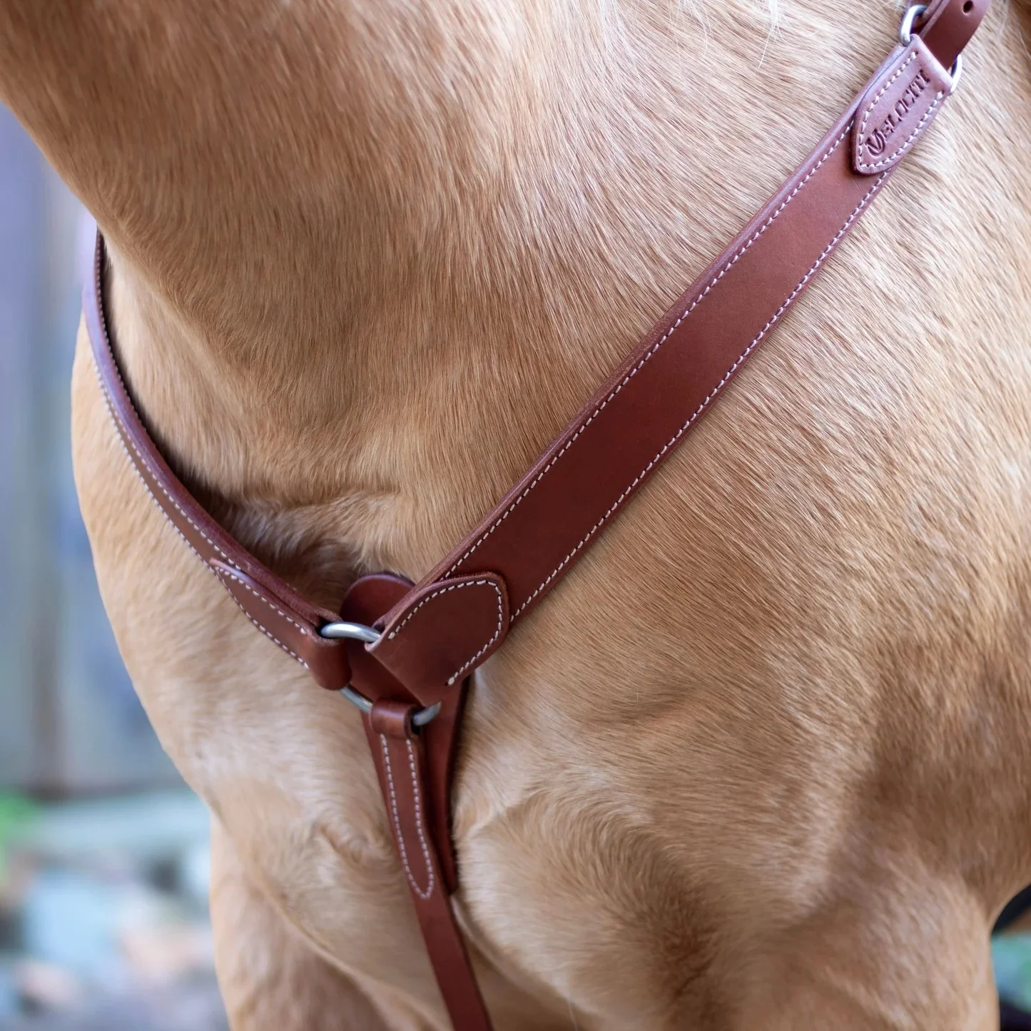 Shires Velociti Shaped Breastcollar - Image 2