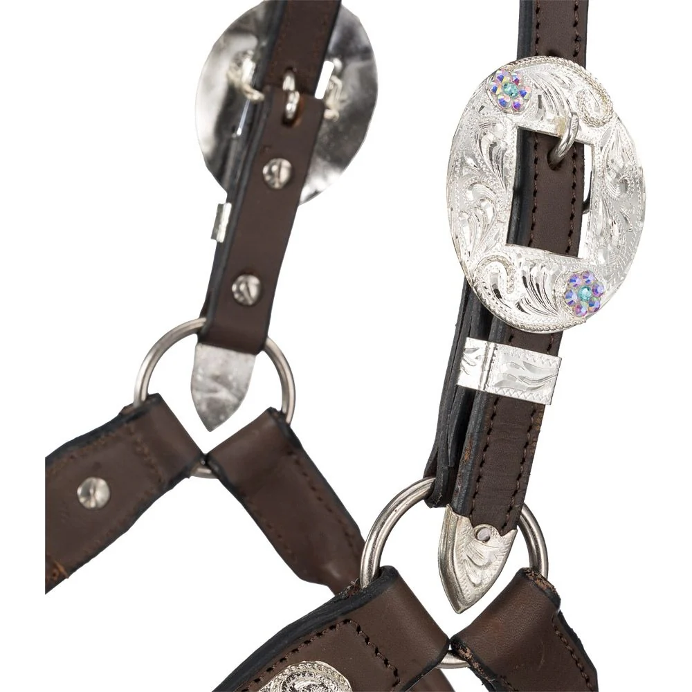 Silver Royal Scroll Show Halter with Stones - Image 3