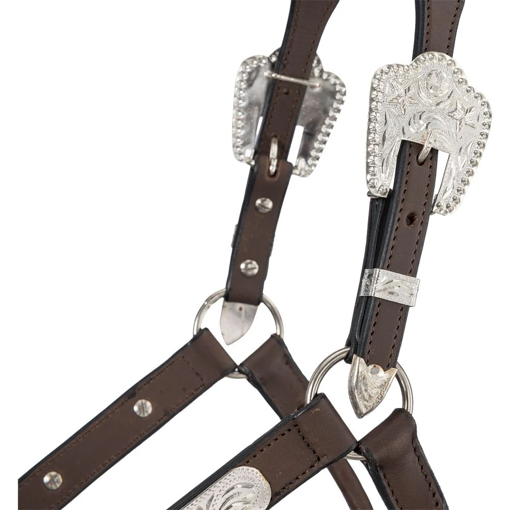Silver Royal Show Halter with Berry Edge Buckles - Image 3