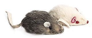 Smooth Fur Mouse 2