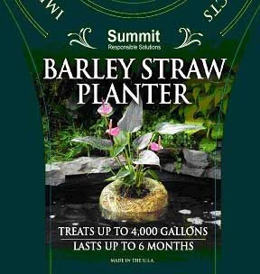 Summit Barley Straw Planter - Image 2