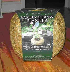 Summit Barley Straw Planter - Image 3
