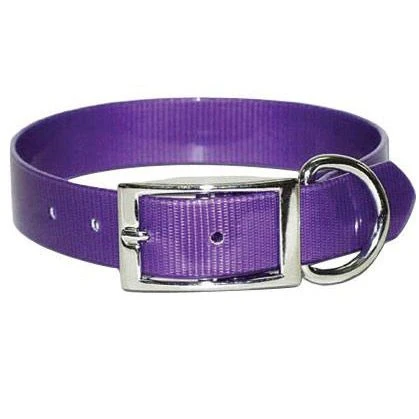 Sunglo Regular Collar 1" - Image 4