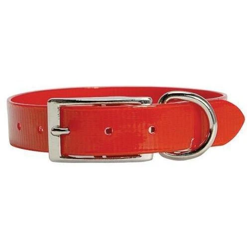 Sunglo Regular Collar 1" - Image 6