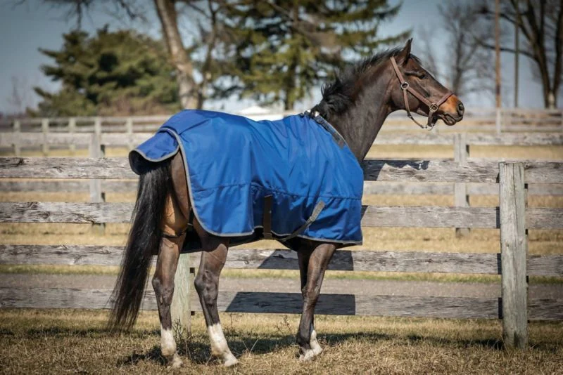 Super Hug 360g Hvy 2520D TO Blanket