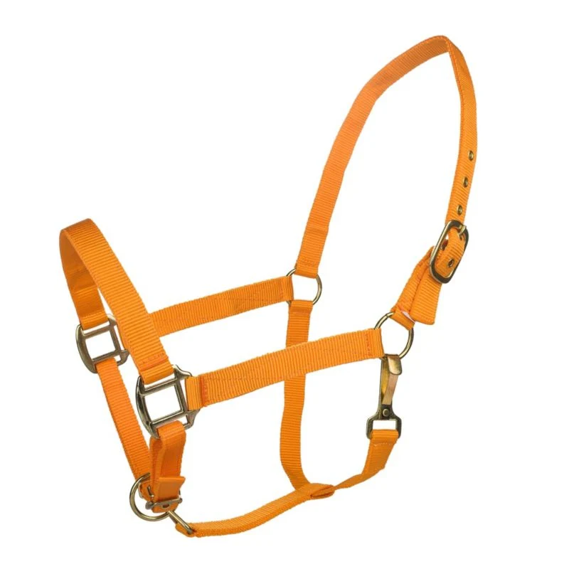 Tabelo Nylon Halter with Adj Chin - Image 11