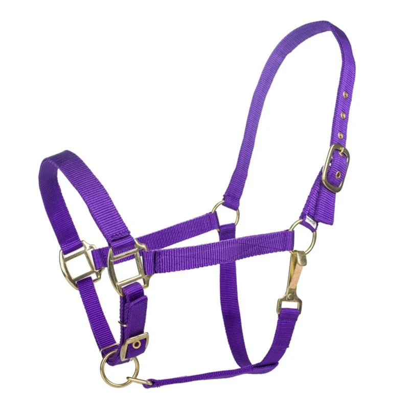 Tabelo Nylon Halter with Adj Chin - Image 12