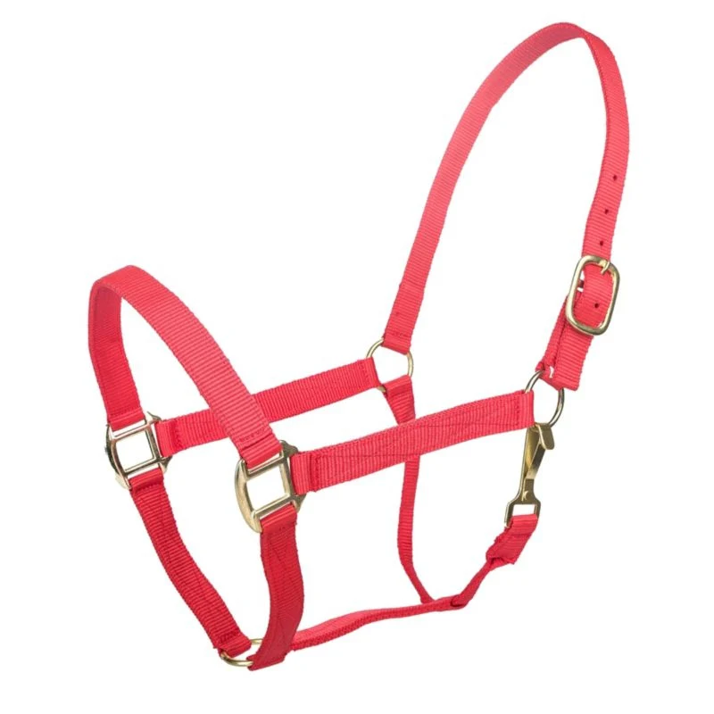 Tabelo Nylon Halter with Snap - Image 14