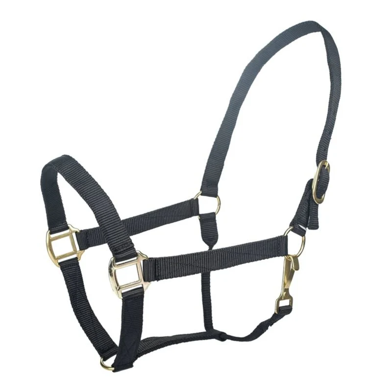 Tabelo Nylon Halter with Snap - Image 15