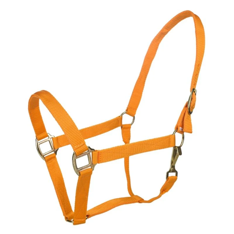 Tabelo Nylon Halter with Snap - Image 17