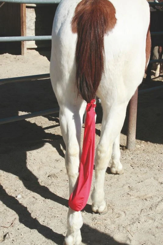 Tail Tamer Lycra Tail Bag Hot Pink - Image 5