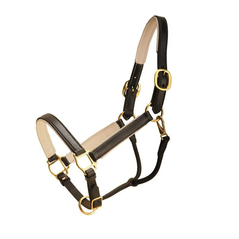 Tory 1In Padded Halter With Brass Hardware Cob Blk - Image 2