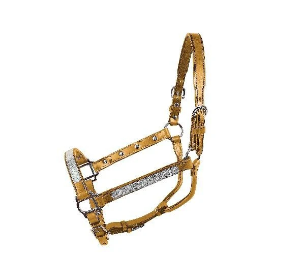 Straight Cheek Economy Show Halter Horse Blk - Image 4