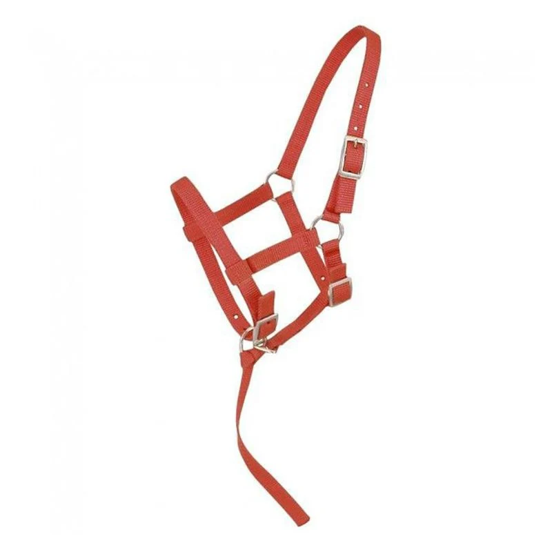 Tough1 Adjustable Foal Halter - Image 9
