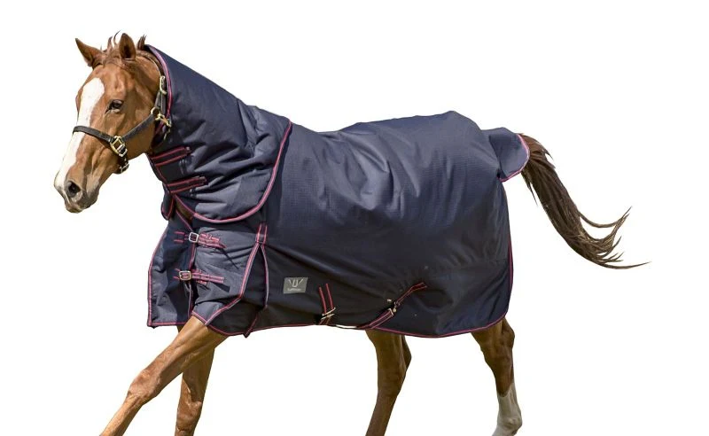 TuffRider 1200D Comfy Medium DAN Blanket - Image 2