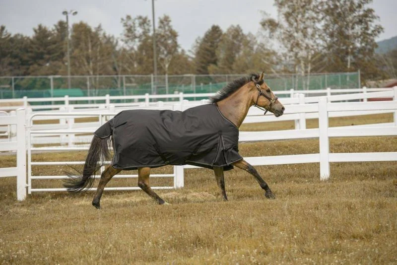 TuffRider 1200D Comfy Turnout Blanket - Image 5