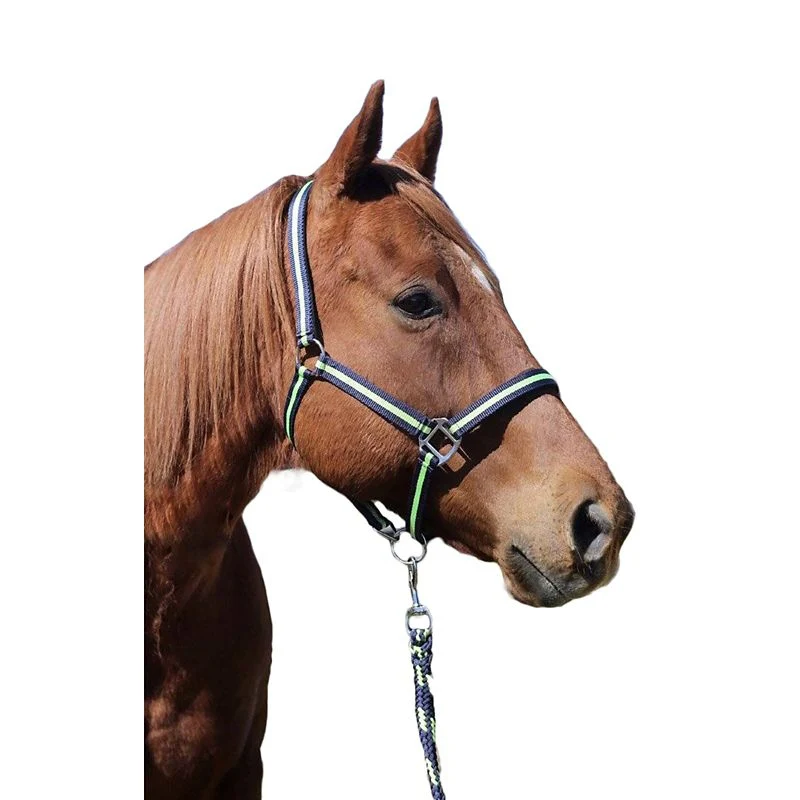 TuffRider Nylon Breakaway Halter & Lead Set - Image 4