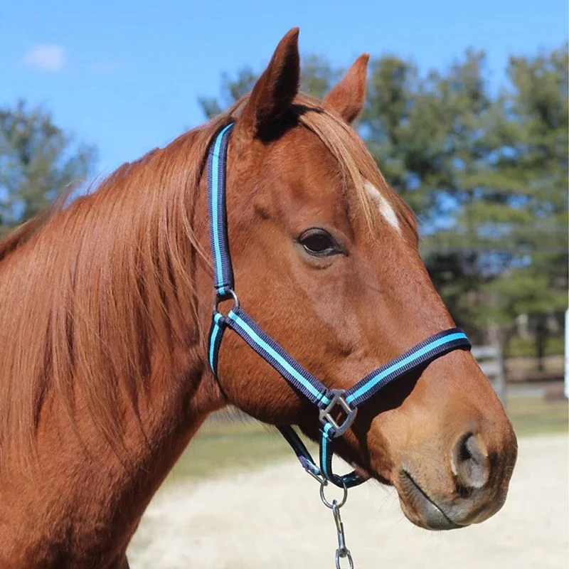 TuffRider Nylon Breakaway Halter & Lead Set - Image 3
