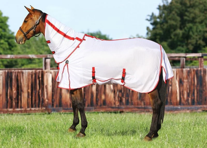 TuffRider Power Mesh Detachable Neck Fly Sheet - Image 3
