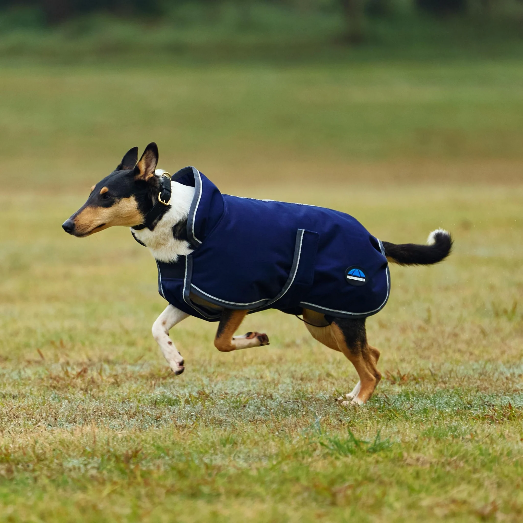 Weatherbeeta ComFiTec 1200D Deluxe Waterproof Dog Coat - Image 4