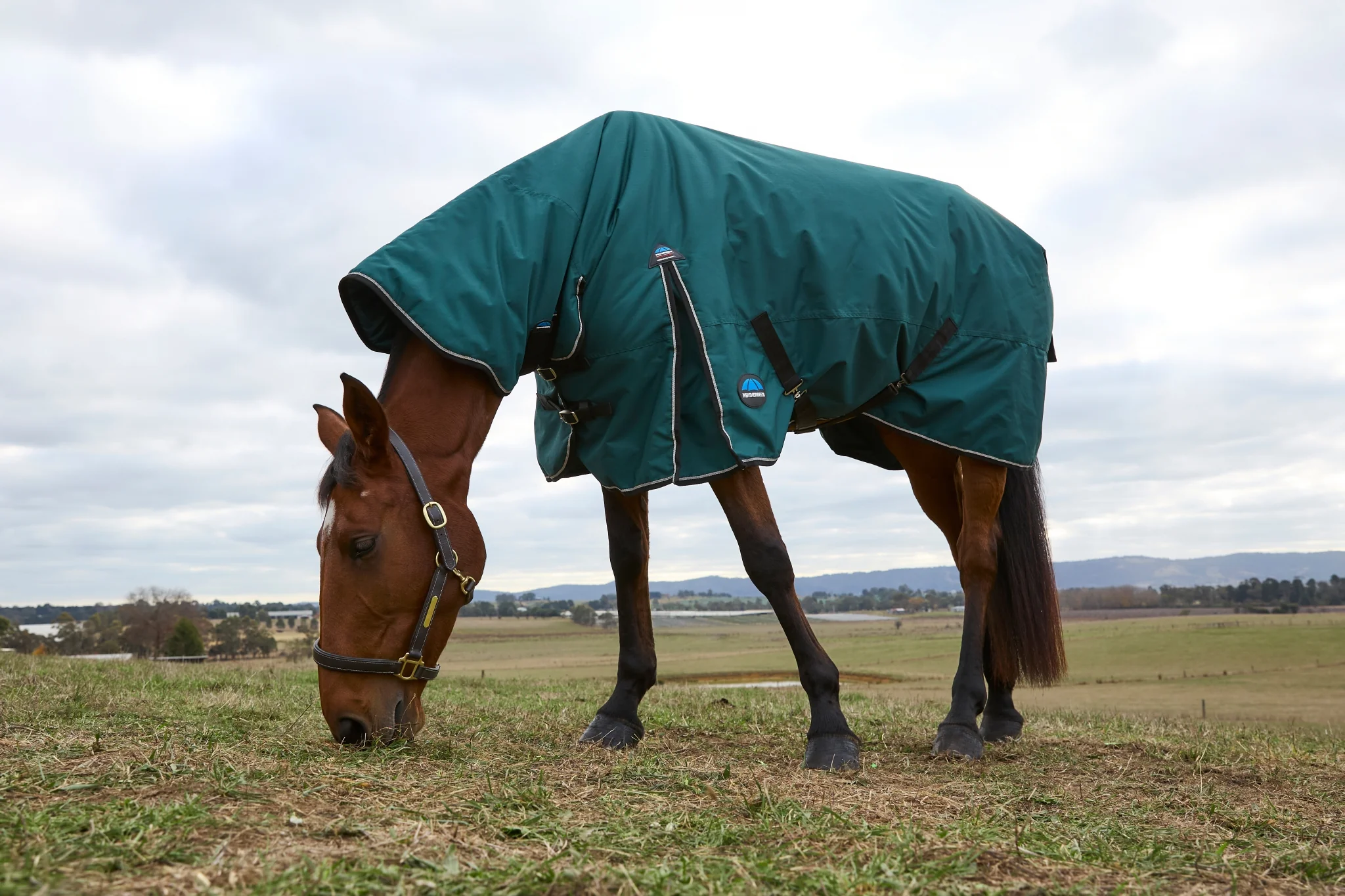 Weatherbeeta ComFiTec Classic Turnout Combo Neck 0g - Image 2