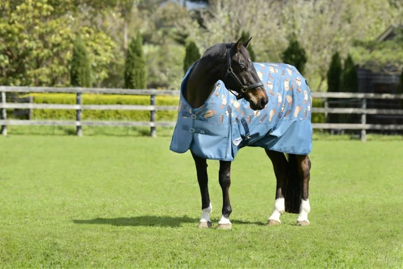 Weatherbeeta ComFiTec Essential Standard Neck Lite Blanket - Image 6