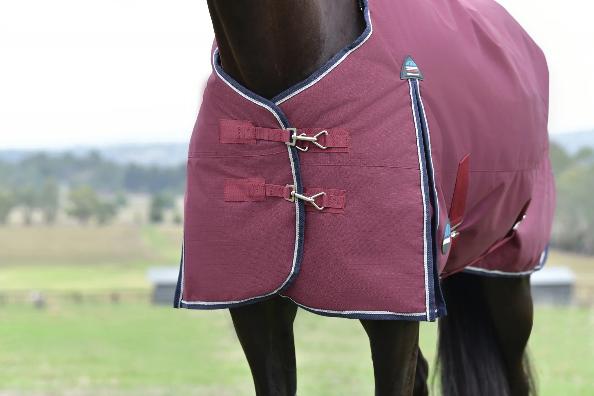 Weatherbeeta ComFiTec Essential Turnout Standard Neck 360g - Image 4