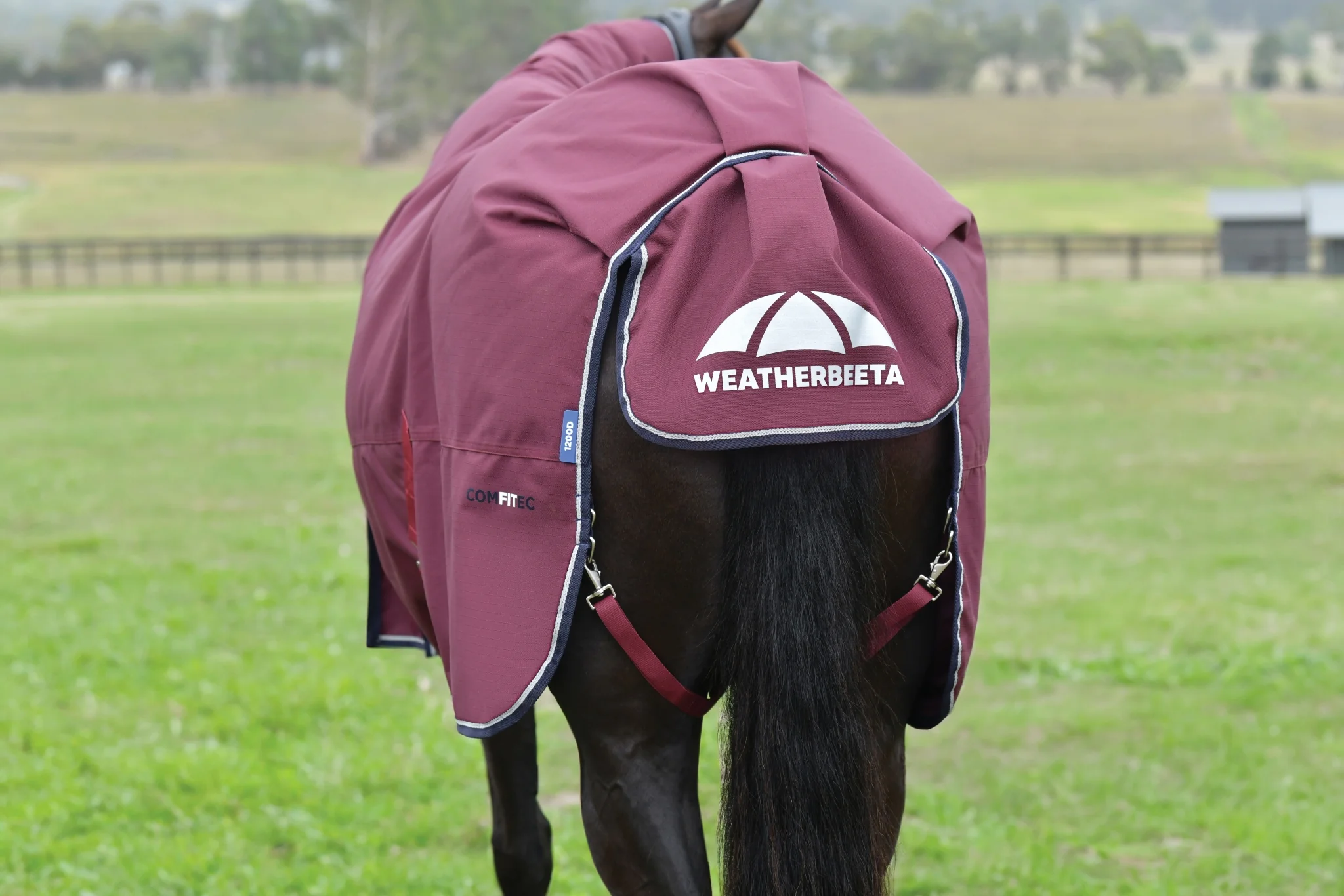 Weatherbeeta ComFiTec Essential Turnout Standard Neck 360g - Image 5