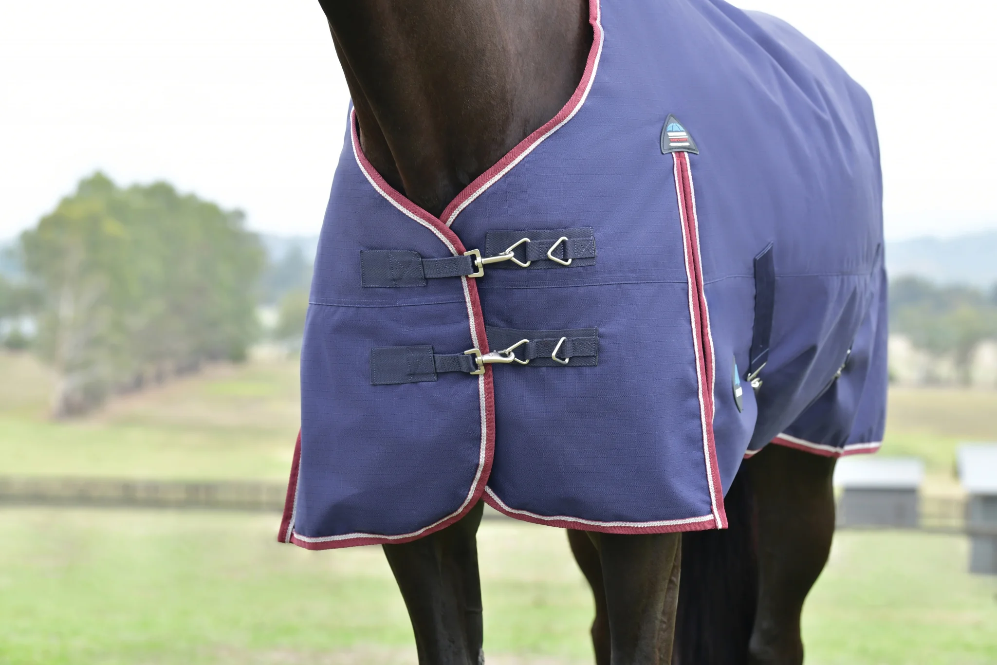 Weatherbeeta ComFiTec Essential Turnout Standard Neck 360g - Image 7