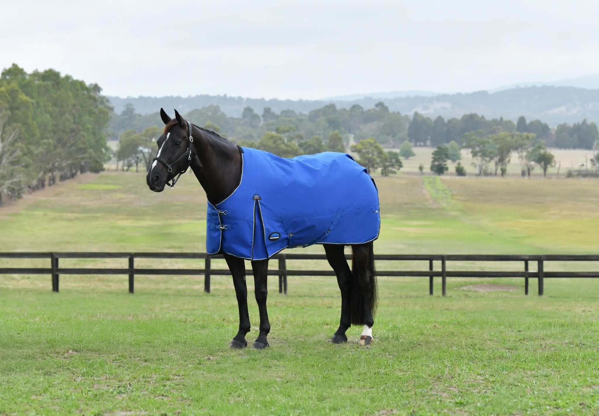 Weatherbeeta ComFiTec Essential Turnout Standard Neck 220g - Image 16