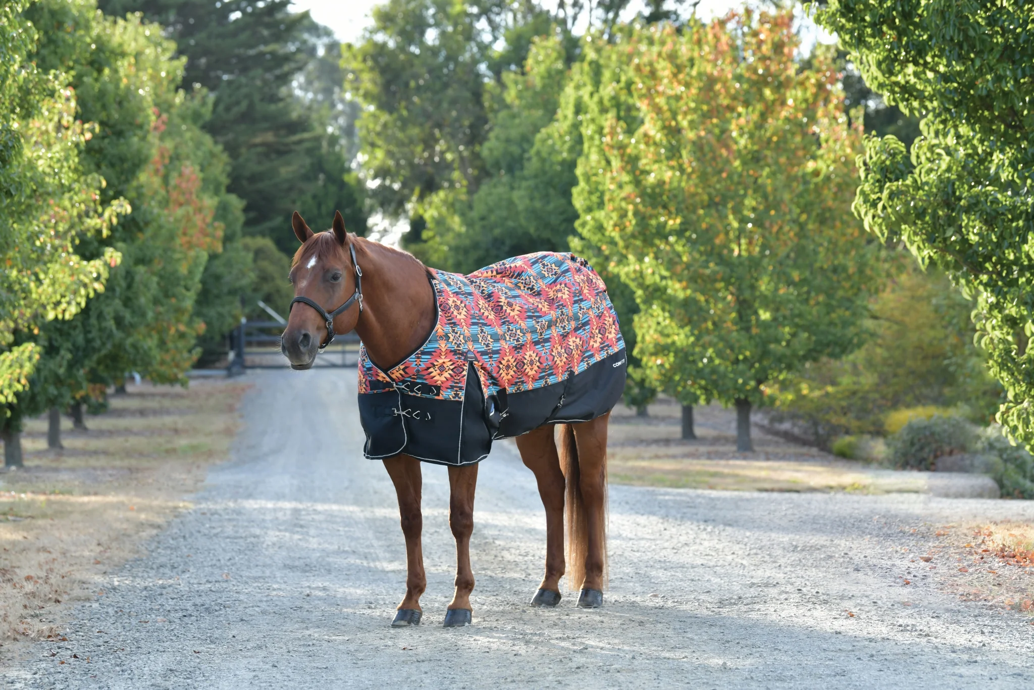 Weatherbeeta ComFiTec Essential Turnout Standard Neck 220g - Image 20