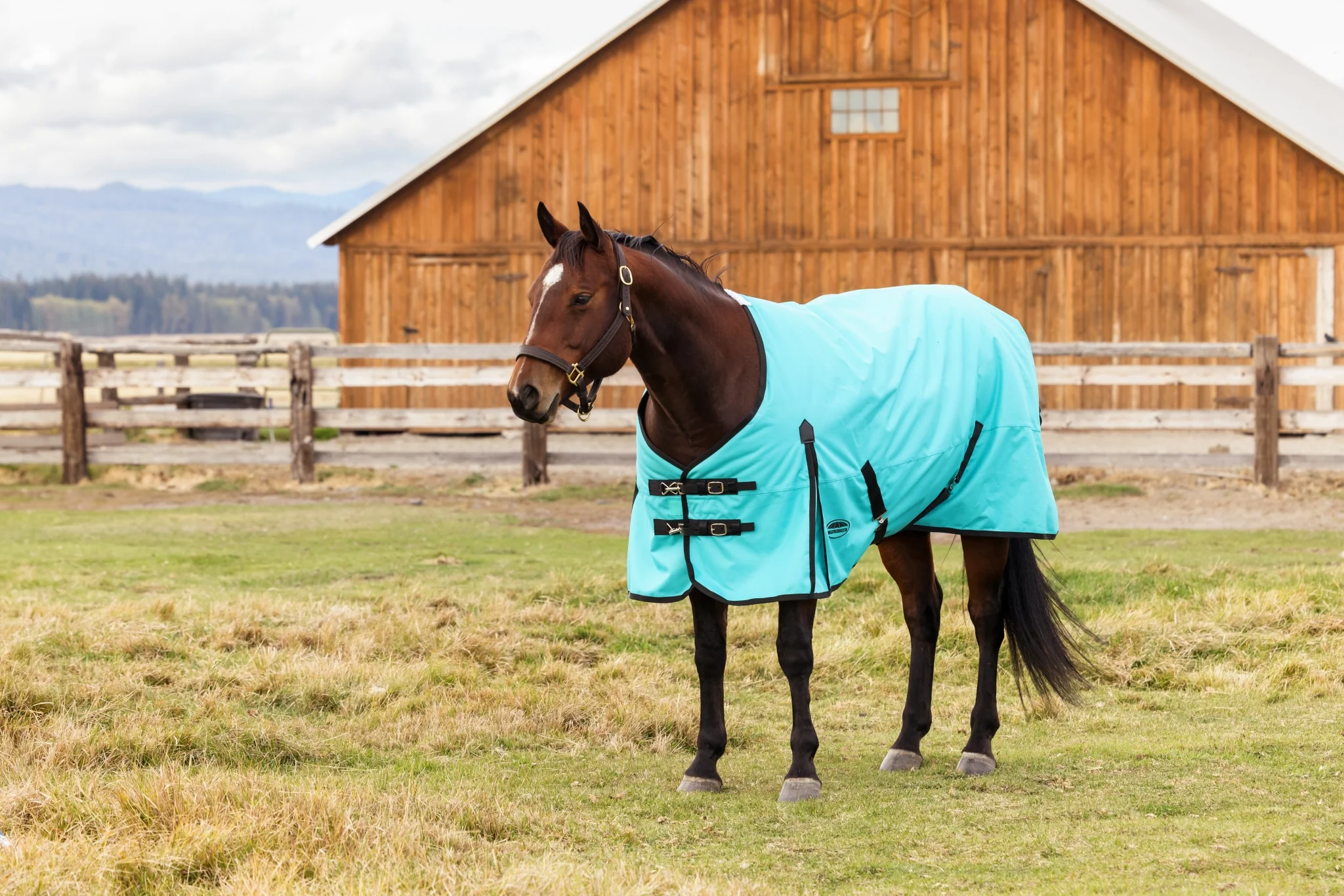 Weatherbeeta ComFiTec Original Turnout Standard Neck 0g - Image 6