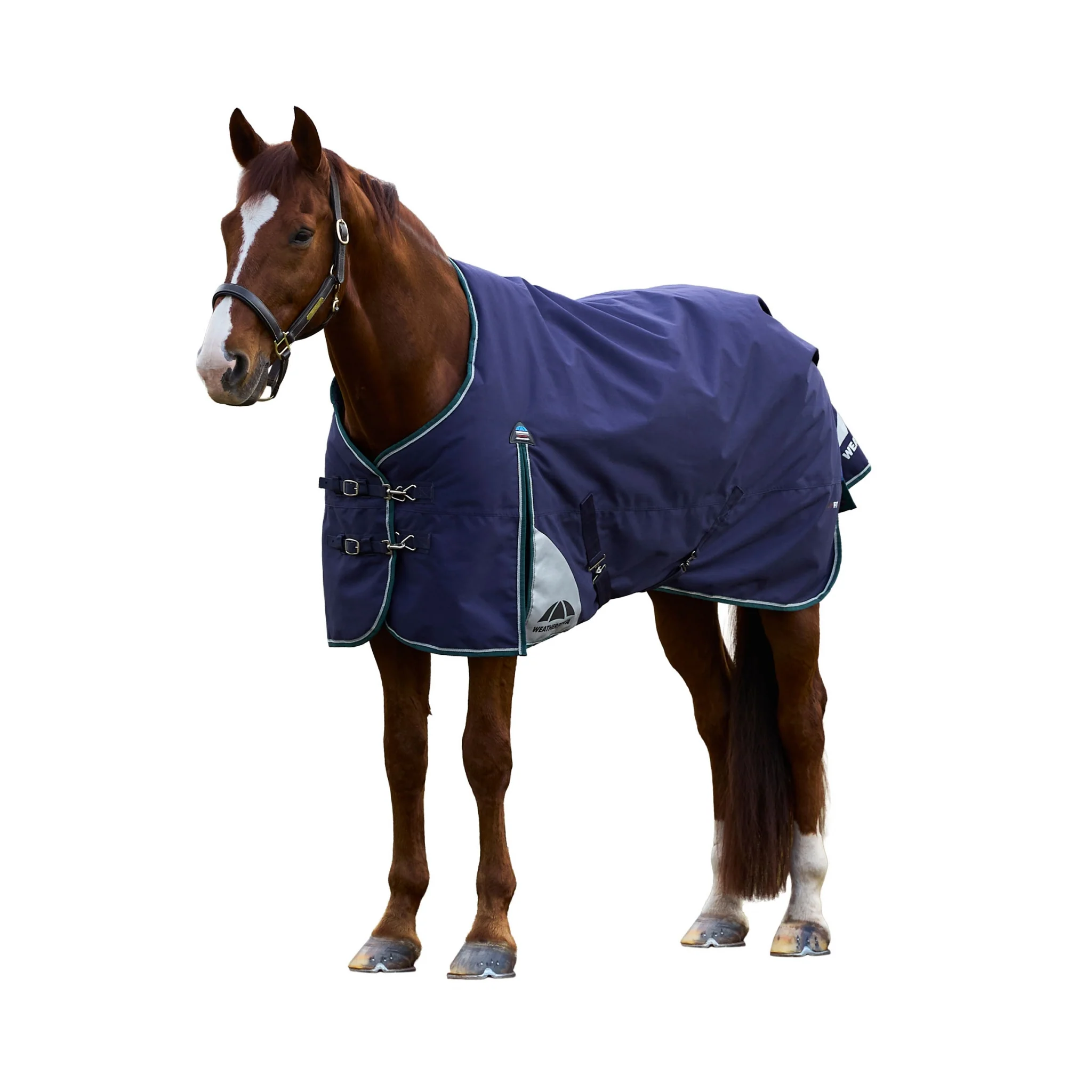 Weatherbeeta ComFiTec Plus Dynamic Turnout Standard Neck 100g - Image 2