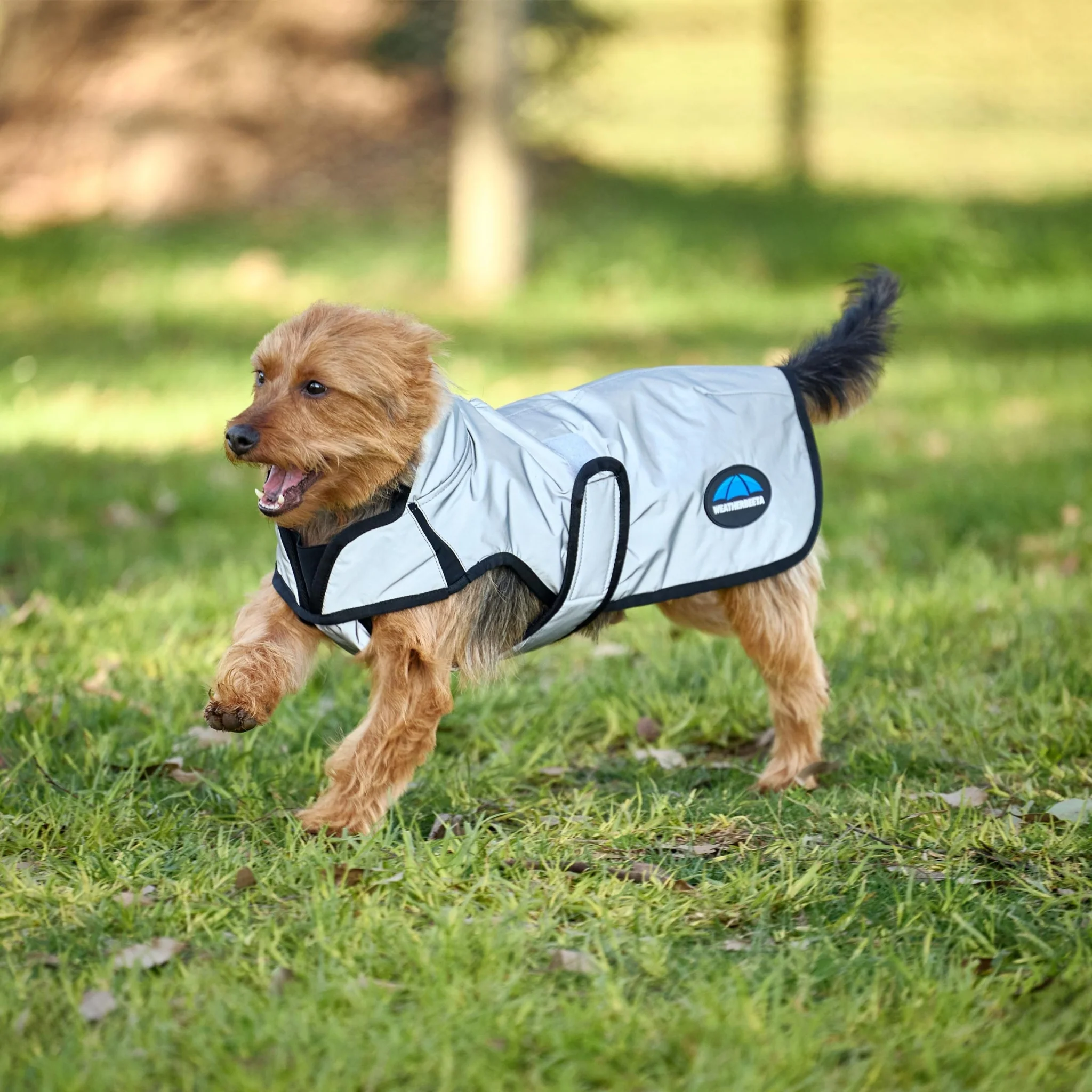Weatherbeeta ComFiTec Reflective Showerproof Dog Coat - Image 4