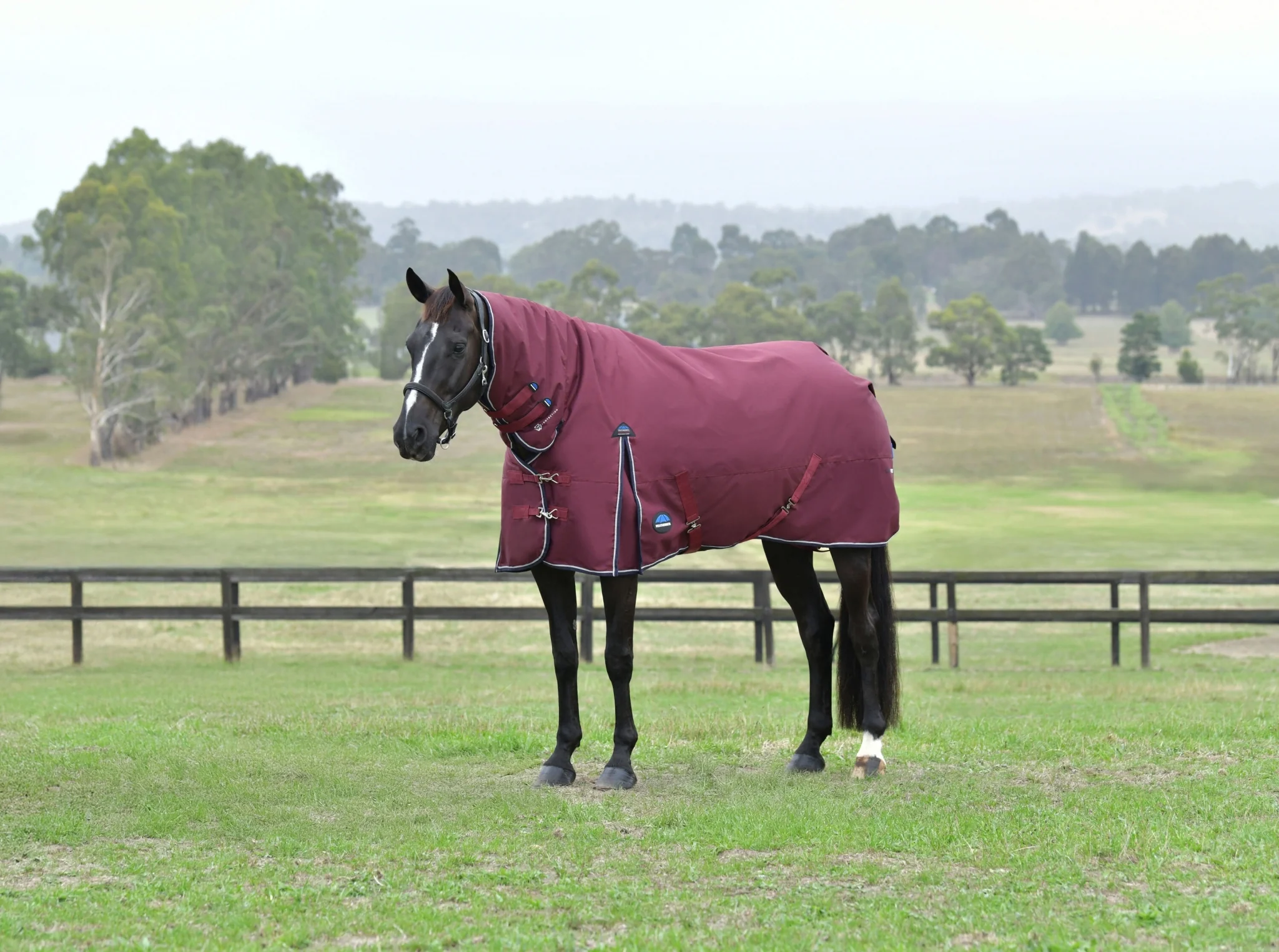 Weatherbeeta ComFiTec Essential Turnout Combo 50g - Image 3