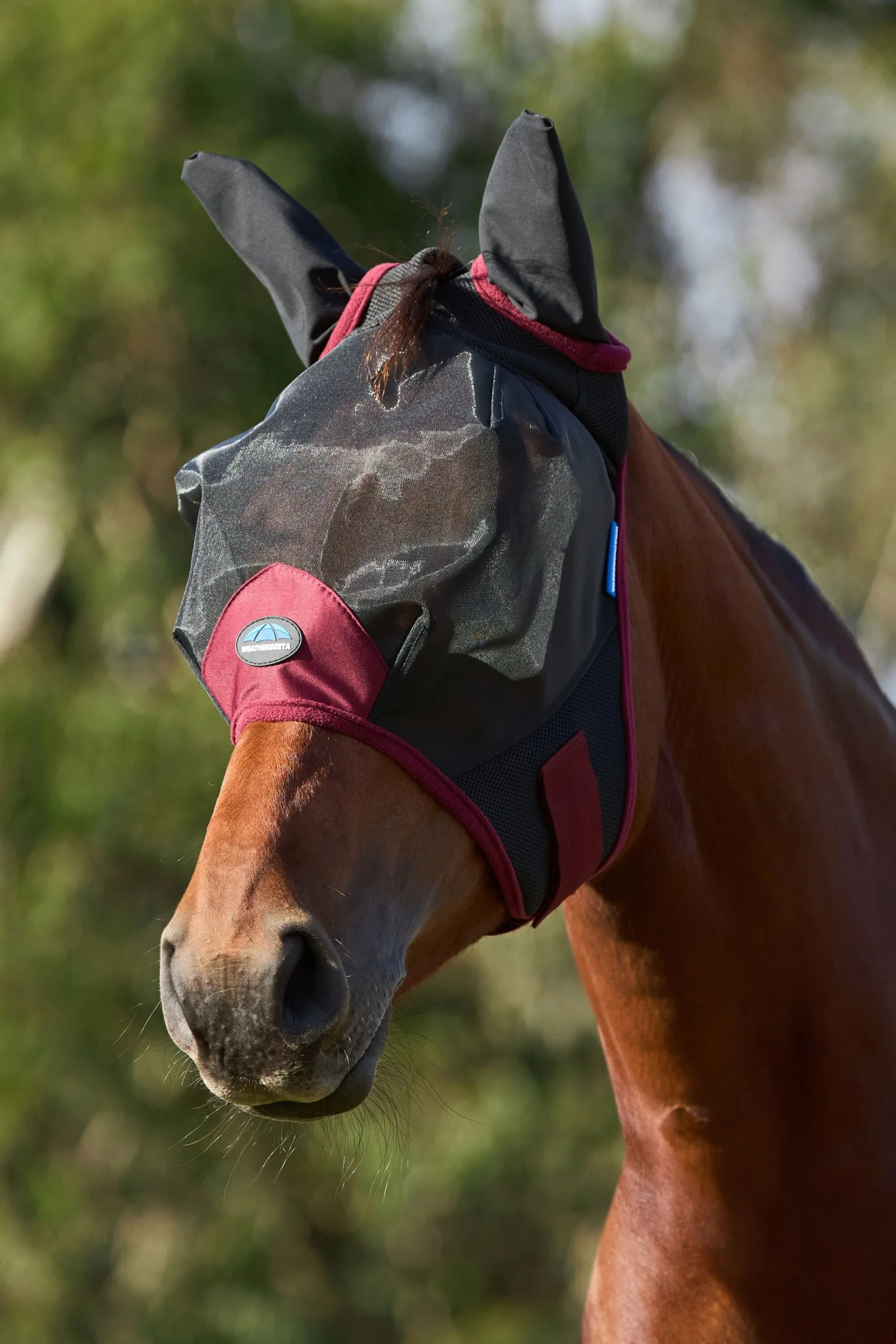 Weatherbeeta ComFiTec Fine Mesh Fly Mask with Ears - Image 3