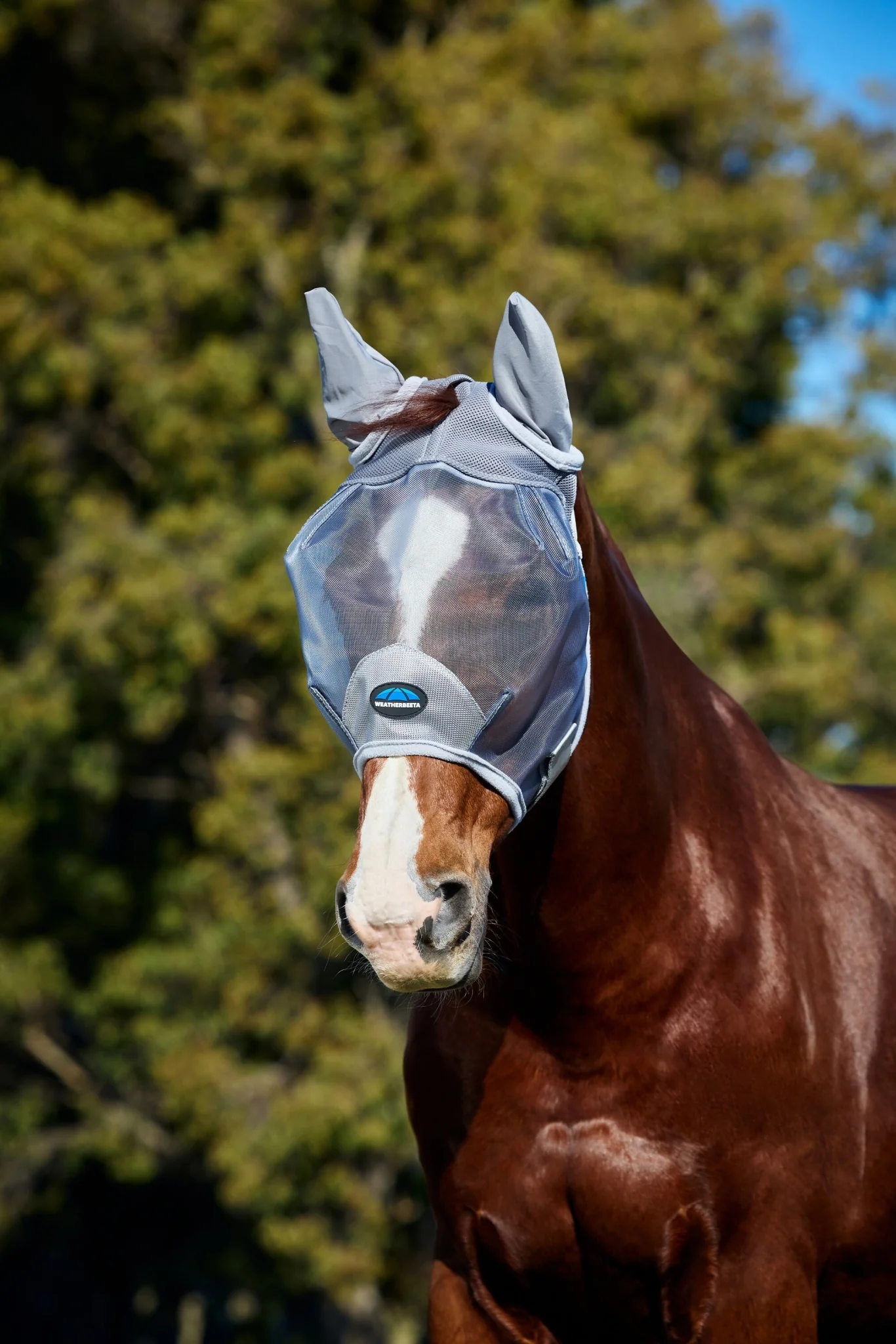 Weatherbeeta ComFiTec Fine Mesh Fly Mask with Ears - Image 4